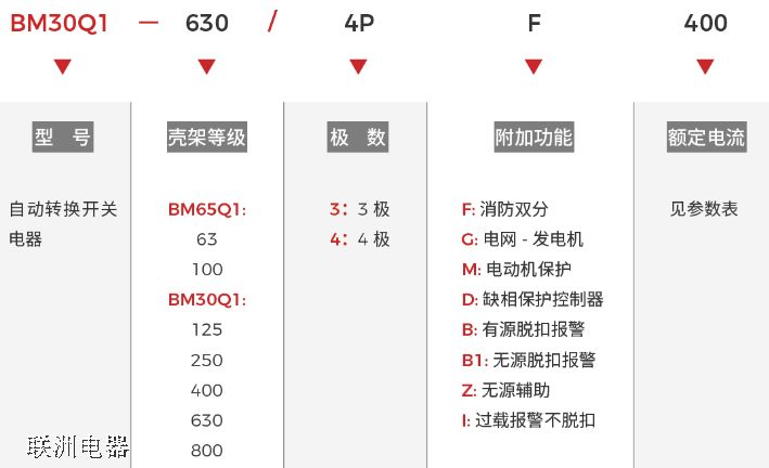 BM65Q1BM30Q1 ϵԄDQ_P